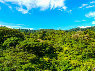 Monteverde national park, Puntarenas, Costa Rica