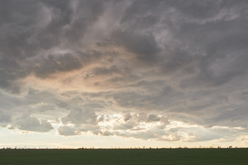 cloudy sunset before thunderstorm in rural area. summer in grass field with dramatic sky above.