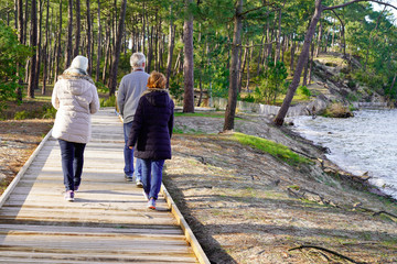 back family walking on wood access beach pathway lake view wooden path terrace in Maubuisson Carcans France