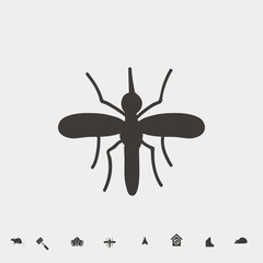 insect fly icon vector illustration and symbol for website and graphic design