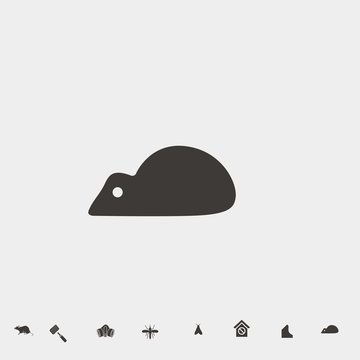 mouse rat icon vector illustration and symbol for website and graphic design