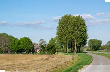 Bike path in Dutch Nature scene