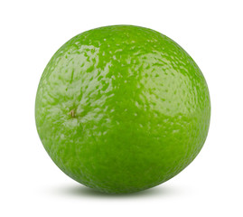 Whole Lime Isolated, Close Up of Green Fresh Fruit on While Background