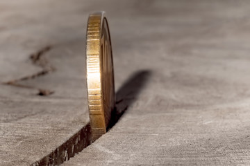 Financial crisis, bankruptcy business concept. Coin falling into a crack of a tree.