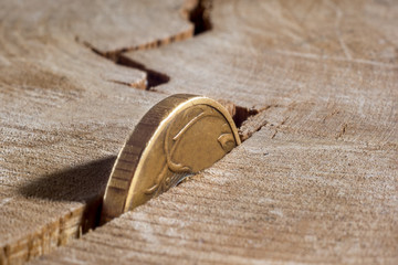 Financial crisis, bankruptcy business concept. Coin falling into a crack of a tree.