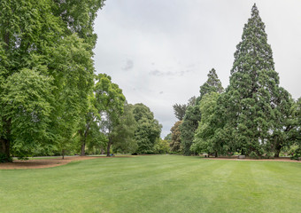 green glade with big trees around at Botanic Gardens, Christchurch, New Zealand