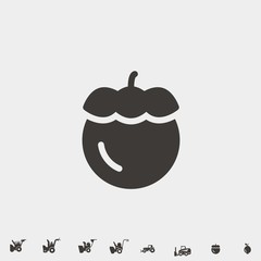 nut icon vector illustration and symbol for website and graphic design