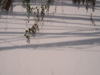 snow, winter, landscape, cold, nature, sky, ice, white, tree, frost, blue, snowy, forest, lake, season, field, outdoor, trees, trace, frozen, grass, track, river, sun, road