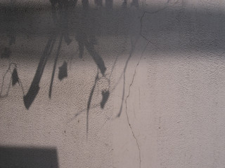 sand, texture, wall, beach, old, grunge, concrete, surface, abstract, insect, rough, stone, summer, gray, sea, art, cement, grey, macro, word, nature, animal, aged, dirty, textured