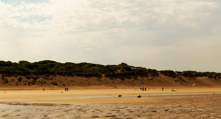 Scene on the beach on a hot summer day in Wissant, France