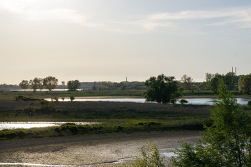 Fototapeta premium The Kaliwaal in the Ooijpolder