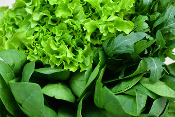 Fototapeta na wymiar Fresh Organic Raw Greens. Creative layout of green leaves. green crispy Lettuce salad, Spinach, dill, arugula. vegan, vegetarian concept.Spring avitaminosis