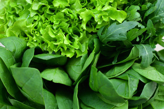 Fresh Organic Raw Greens. Creative layout of green leaves. green crispy Lettuce salad, Spinach, dill, arugula. vegan, vegetarian concept.Spring avitaminosis