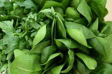 Fresh Organic Raw Greens. Creative layout of green leaves. green crispy Lettuce salad, Spinach, dill, arugula. vegan, vegetarian concept.Spring avitaminosis