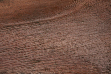 wood pattern texture