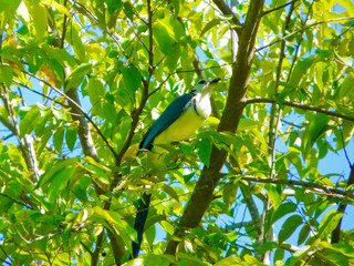Cabo Blanco National Park, Puntarenas, Costa Rica