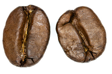 zwei einzelne Kaffeebohnen auf weißem Untergrund