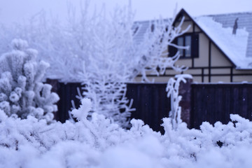 Snow around the house