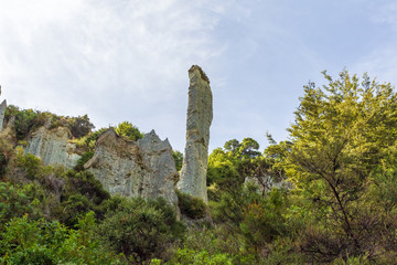 Rock finger. Сliffs. North Island, New Zealand