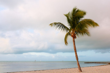 Beautiful sunrise at Smathers Beach with Palm Tree in foreground. Smathers Beach is the largest...