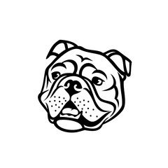 English bulldog face - isolated outlined vector illustration
