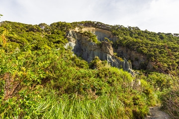 Fototapeta na wymiar Beauty of nature. North Island. New Zealand