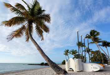 Beautiful sunrise at Smathers Beach with Palm Tree in foreground. Smathers Beach is the largest...