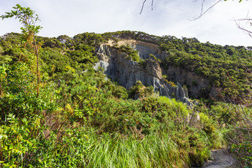 Beauty of nature. Putangirua Pinnacles. New Zealand