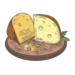 Cheese lies on a wooden cutting board. Vector retro illustration.