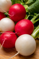 Fresh washed white and red radish vegetables ready to eat