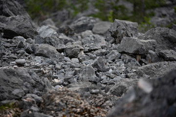 Rock stones from the Dolomite's mountains