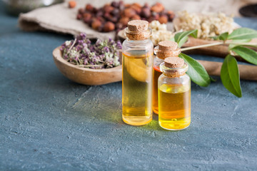 Herb tinctures in glass bottles on a dark concrete table. Traditional medicine and herbal treatment concept.