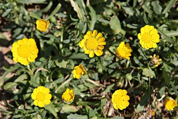 한국 인천시 남동구 인천대공원 입니다