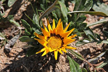 한국 인천시 남동구 인천대공원 입니다