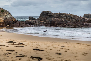 A dog running at the rocks of the beach at the Mystery Bay in New South Wales, Australia at a cloudy and windy day in summer with strong waves in the ocean. 
