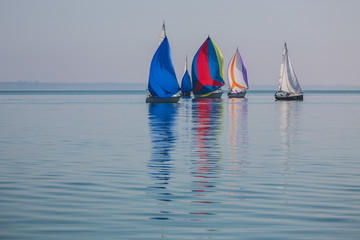 sailing competition at Lake Balaton