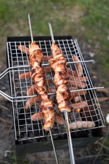 kebab on the nature with smoke rest