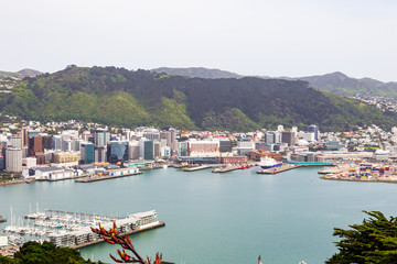 Fototapeta na wymiar Wellington is the capital of an island nation. North Island, New Zealand