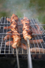 kebab on the nature with smoke rest