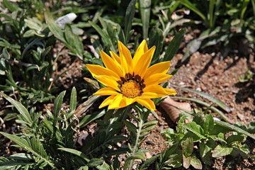 한국 인천시 남동구 인천대공원 입니다