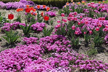 한국 인천시 남동구 인천대공원 입니다