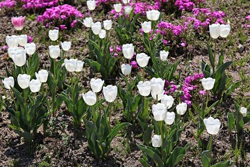 한국 인천시 남동구 인천대공원 입니다