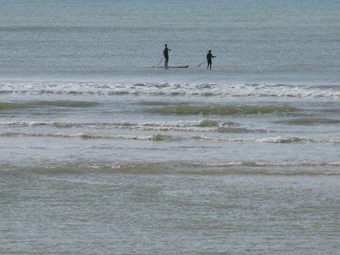 Friends Paddleboarding In Sea