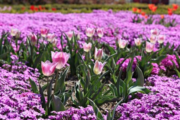 한국 인천시 남동구 인천대공원 입니다