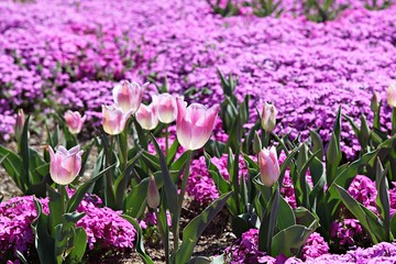 한국 인천시 남동구 인천대공원 입니다