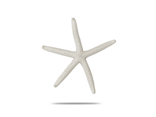 Obraz premium Star fish on white background