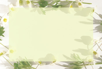 White background with flowers around the edges. Beauty spring background
