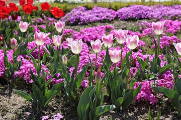 한국 인천시 남동구 인천대공원 입니다