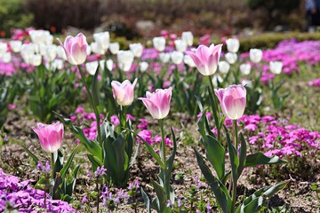 한국 인천시 남동구 인천대공원 입니다