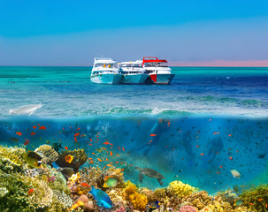 Split shot with coral reef underwater and rocky land of the Ras Muhammad National Park